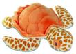 TORTUE CACOUANNE PRIX GROSSISTE